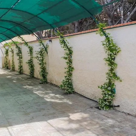 公寓 La Terrazza - 150m Dal Mare - Ampia Terrazza Privata+area Relax 阿雷内拉